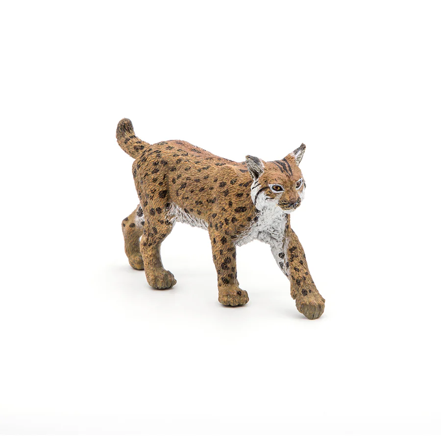 PAPO LINCE 50241