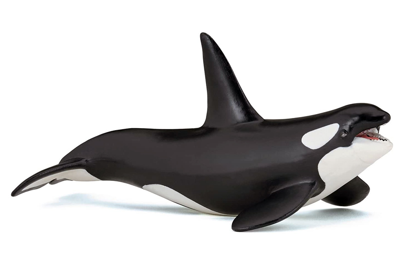 PAPO ORCA 56000