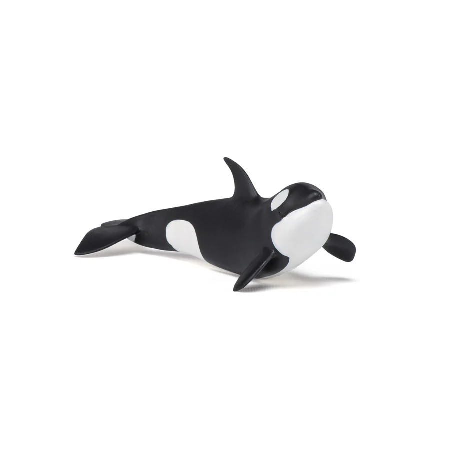 PAPO GIOVANE ORCA 56040
