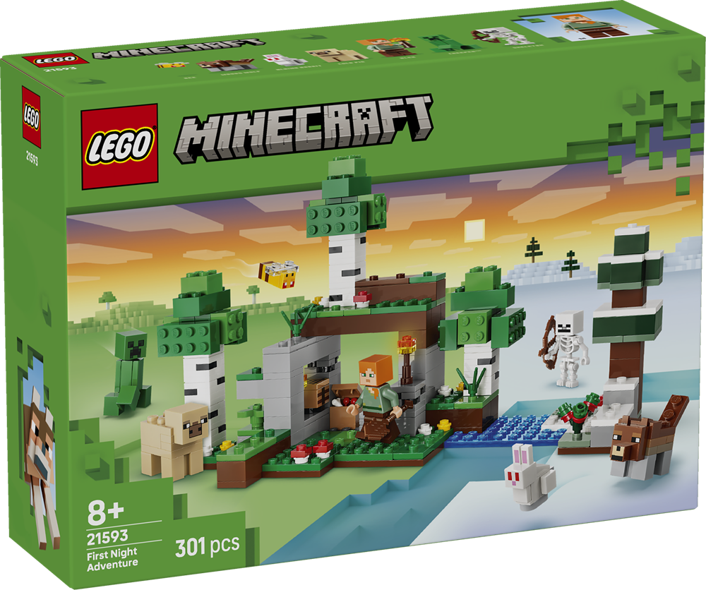 LEGO MINECRAFT AVVENTURA DELLA PRIMA NOTTE 21593